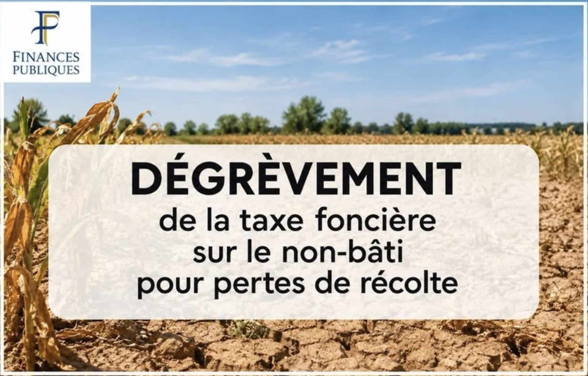 You are currently viewing Dégrèvement 2026 TFNB